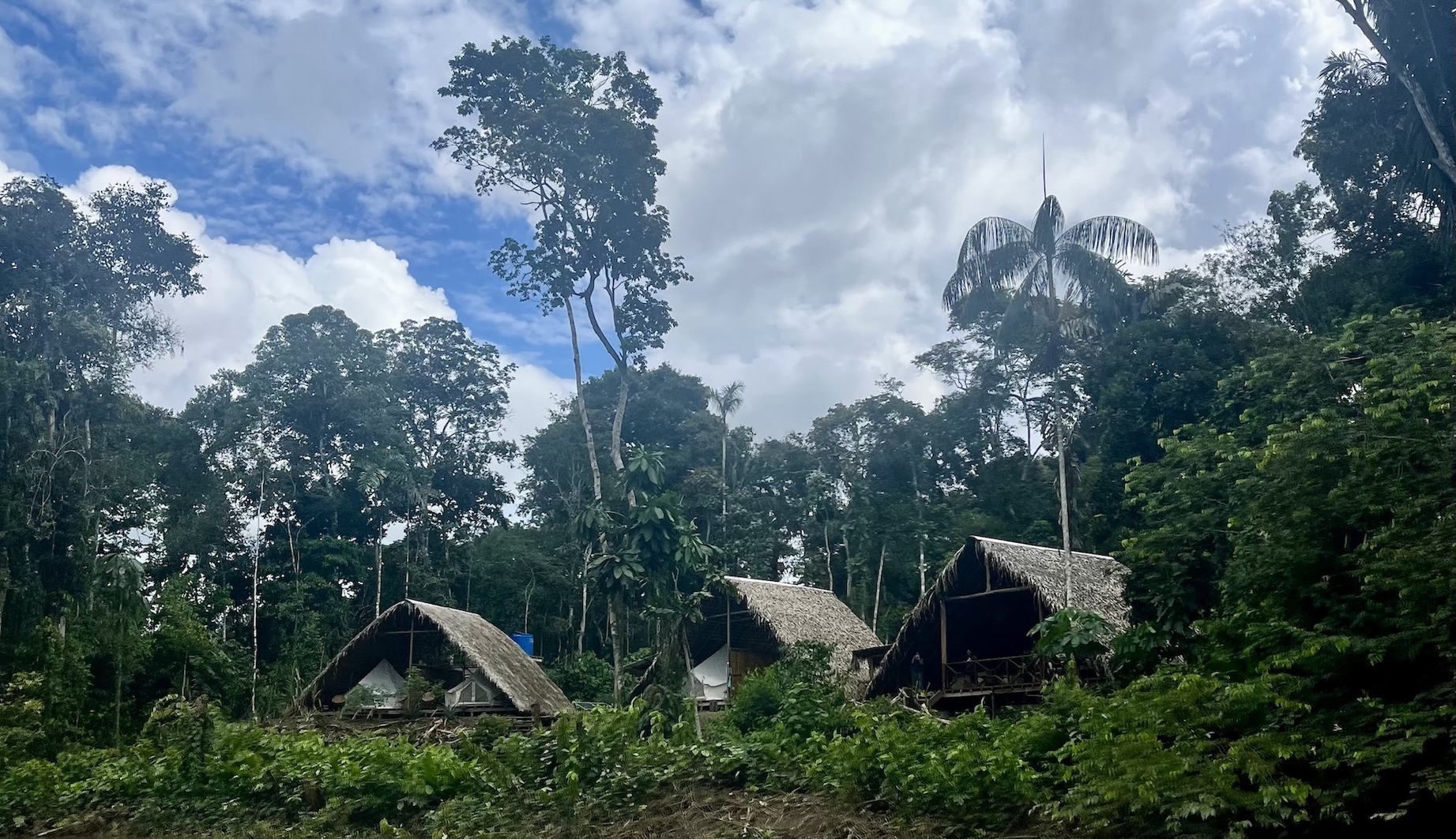 Aerial Shot of Sacha Lodge in Ecuador Amazon Rainforest