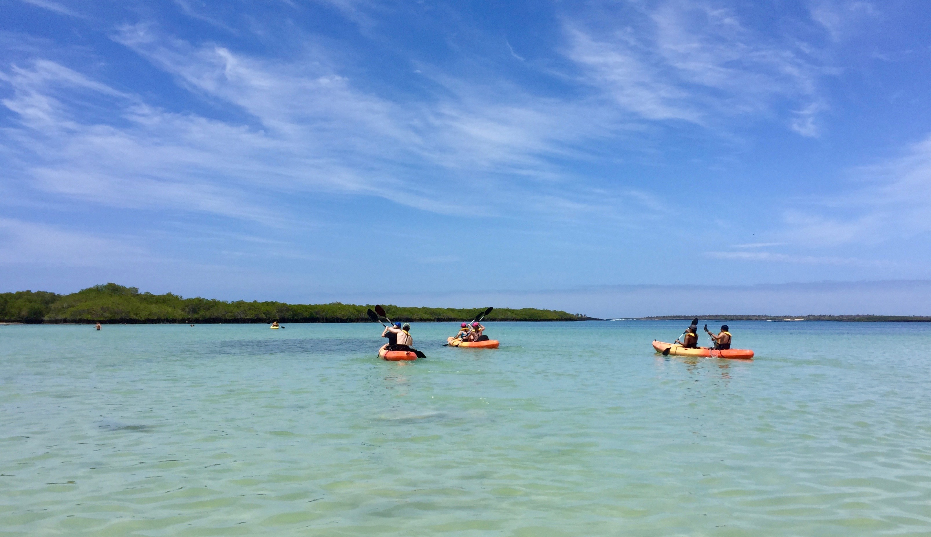 Four yellow and orange kayaks paddling away in clear blue seas in Tortuga Bay Galapagos