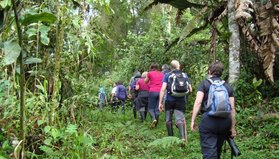 Ecuador Hiking Tours - To The Cloudforest