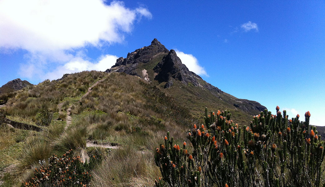 Pichincha Volcano Summit Hike