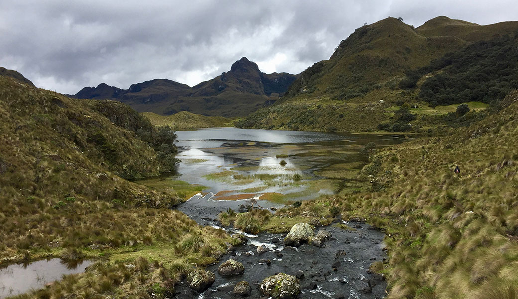 Wetland lakes in Cajas National Park with surrounding paramo grasses and rugged mountains