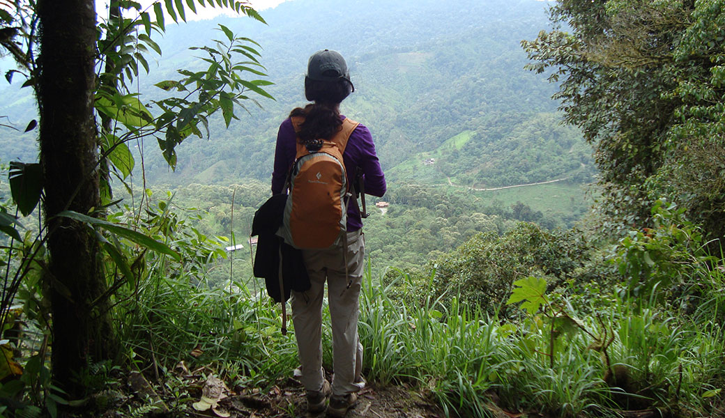Back of lady in black t shirt with orange backpack looking at view across cloud forest in Ecuador