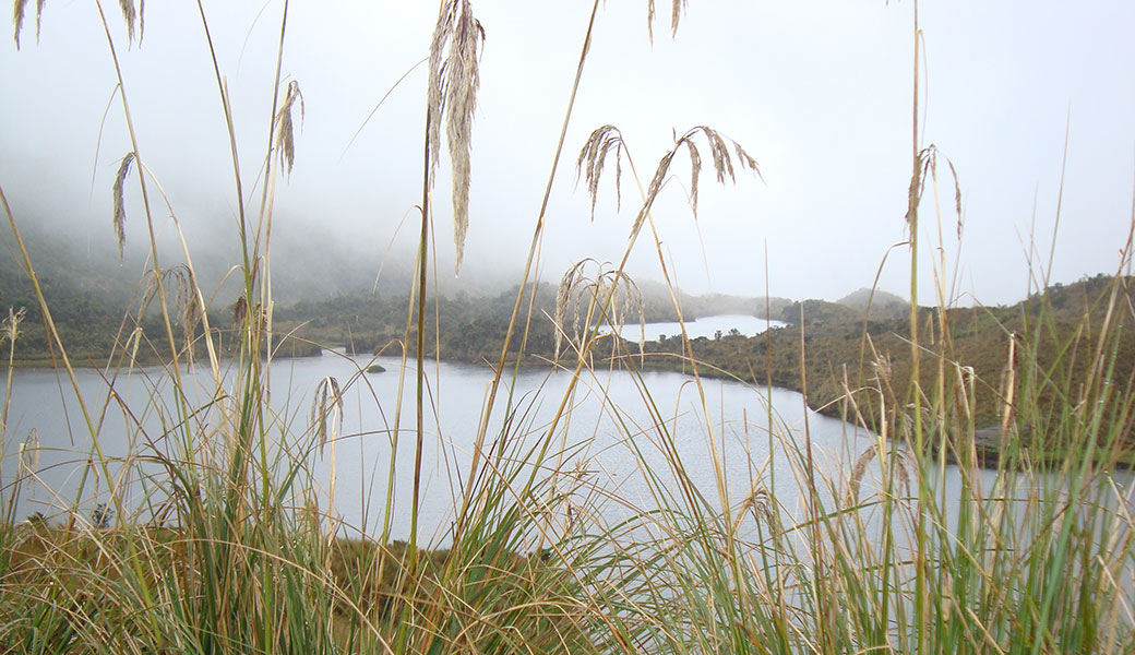 Papallacta highland lake in Andes mountains with grasses in the foreground and clouds rolling in.