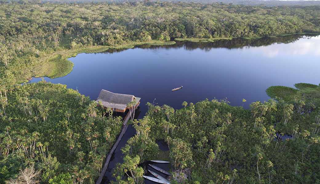 Sacha Lodge | Ecuador Amazon Lodge Tour