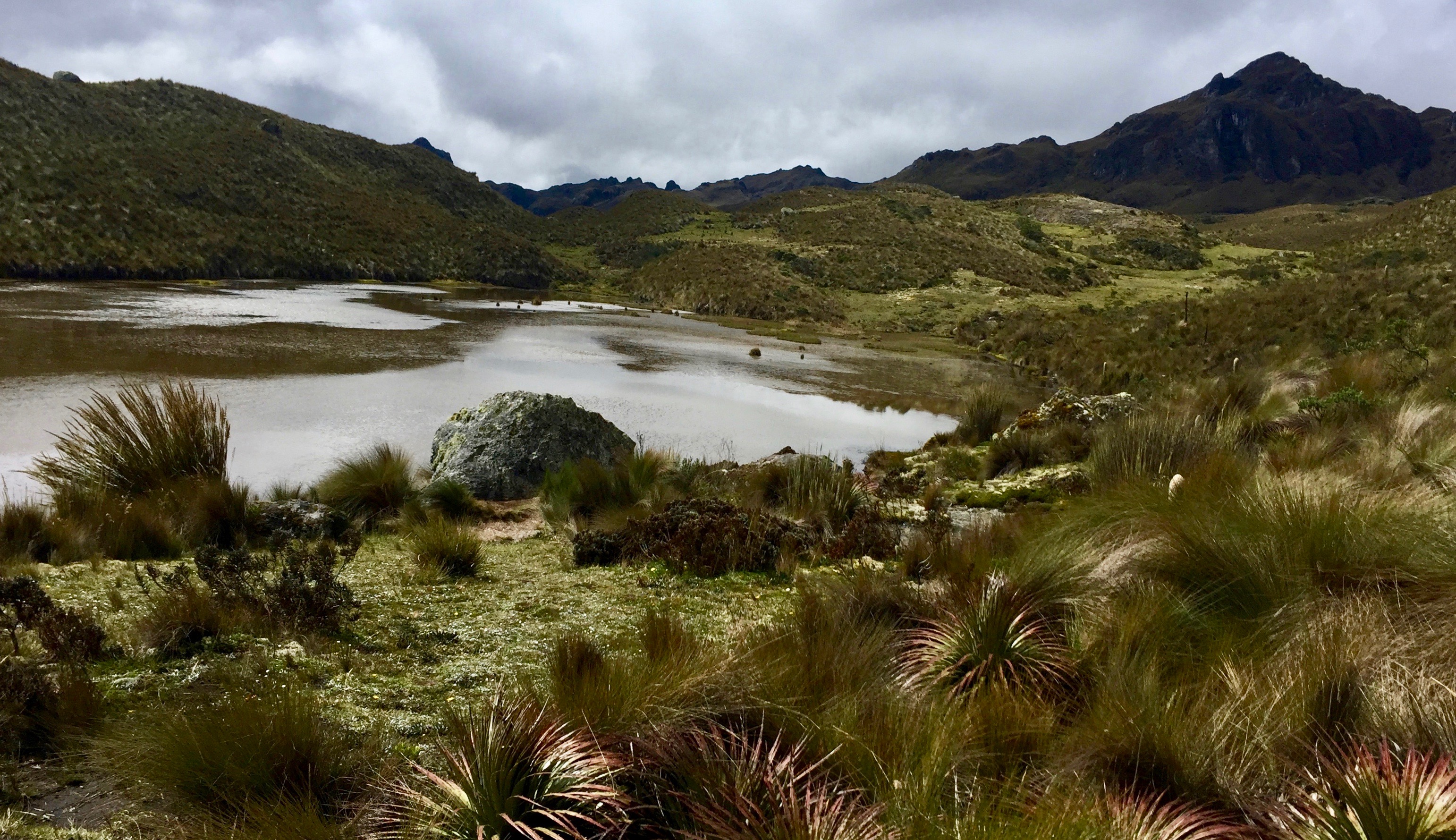 Cajas National Park with a large lake against a backdrop of Andes mountains in Ecuador 