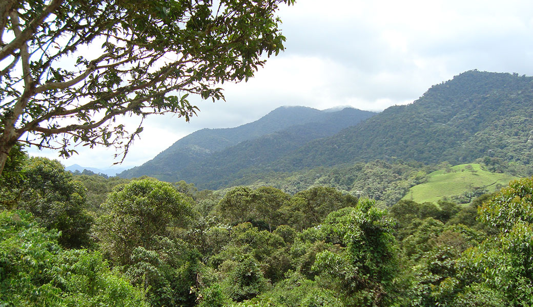 Two girls walking with backpacks through the Ecuadorian cloud forest, Mindo